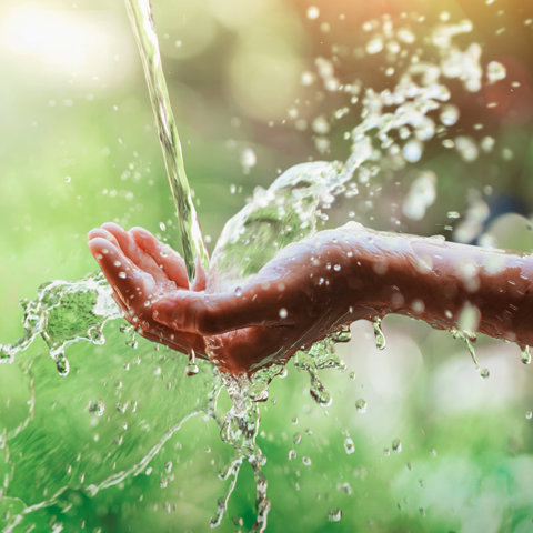 Water pouring on hand in morning ligth background