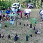 Participantes do Curso de Capacitação em Santarém (PA), observando as mudas das plantas. Fotos: Maria Aparecida, Adenauer Beling, Ana Paula Souza