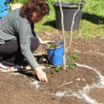 Associada da Novo Encanto participa do plantio de sementes e flores da mandala. Foto: divulgação monitoria da NE no núcleo Inmaculada Concepción