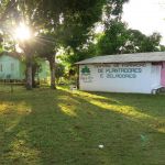Área de plantio e capacitação já conta com três projetos feitos pela Novo Encanto em parceria com a Fundação Banco do Brasil com benefícios de R$ 160 mil
Foto: Mário Junior Mesquita da Silva